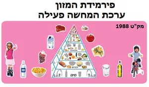 פירמידת המזון המחשה פעילה