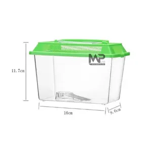 אקווריום קטן