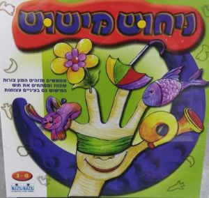 ניחוש מישוש