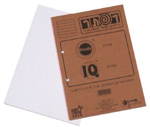 דפדפת משבצות-חשבון