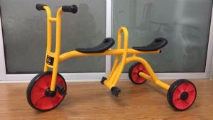 תלת אופן זוגי