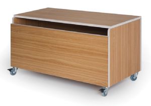 ארגז תחפושות בוק